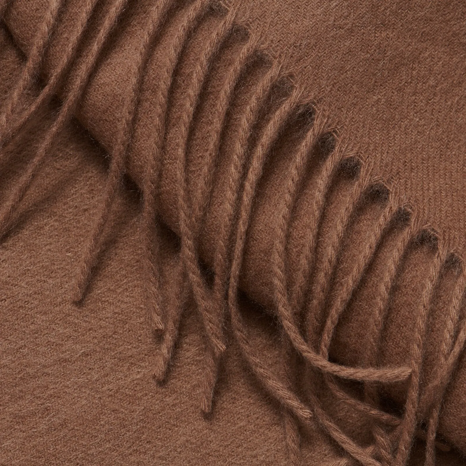 Cashmere Solid Scarf