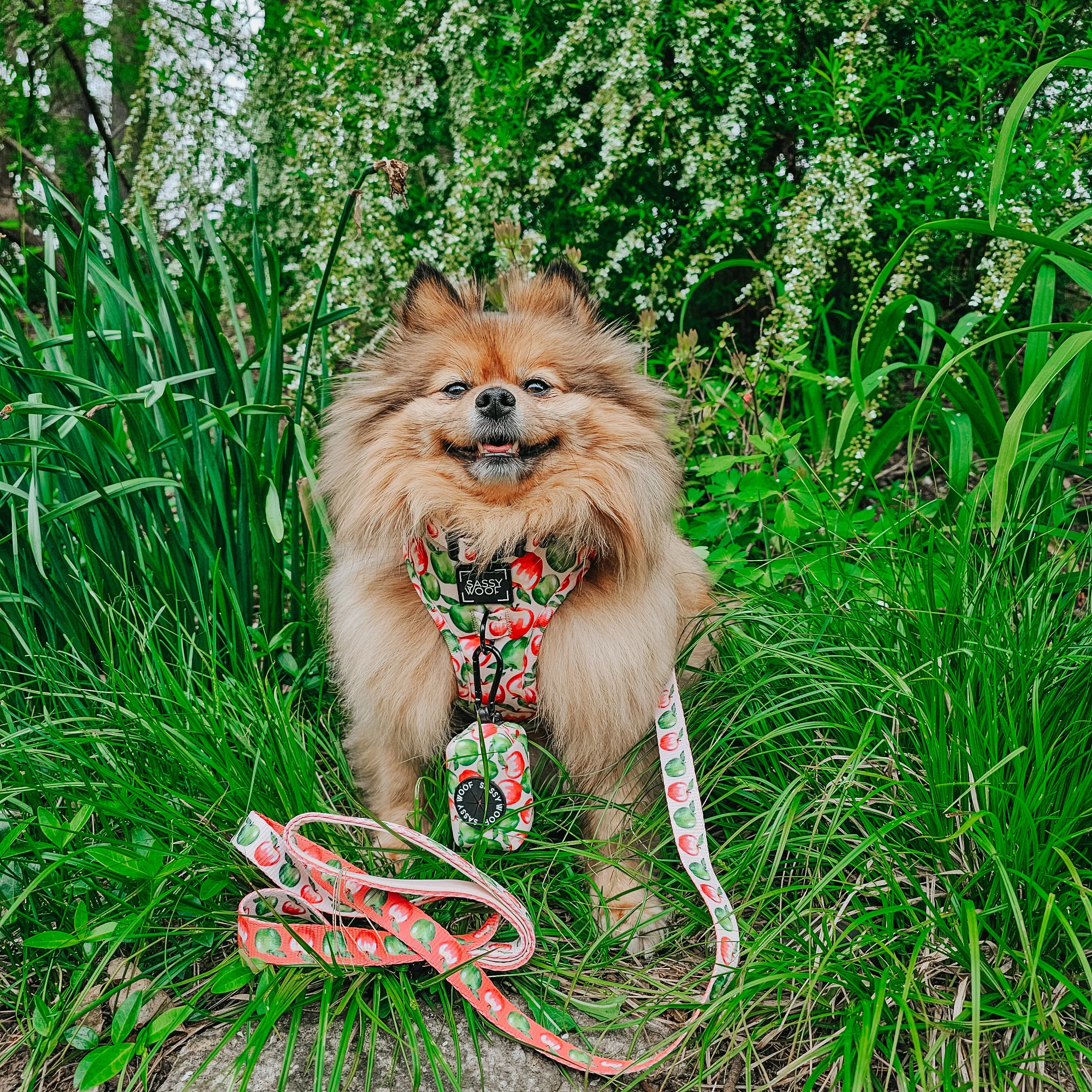 Dog Waste Bag Holder - Apple of My Eye