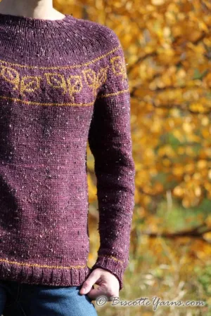 Fallen Leaves free yoke sweater pattern