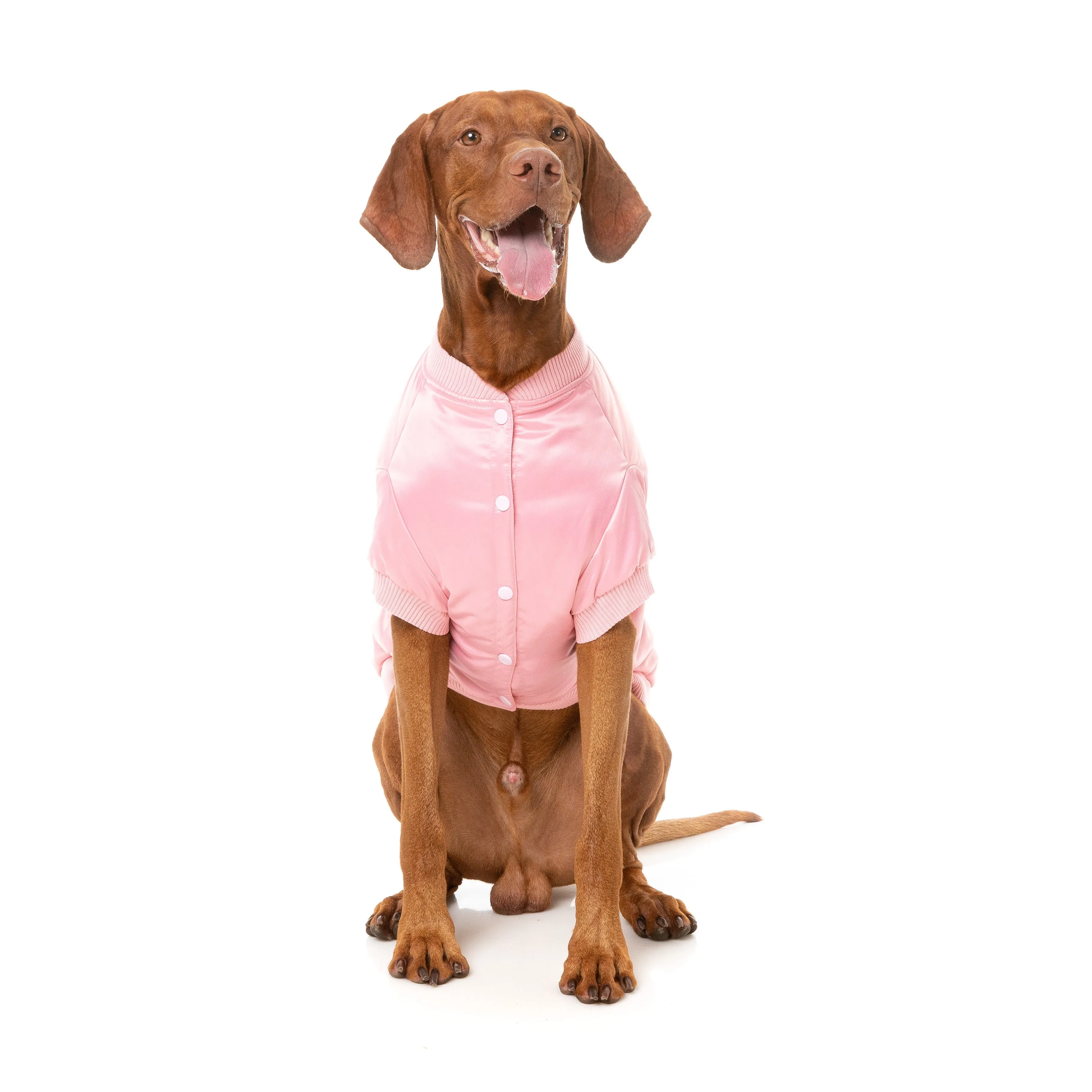 FuzzYard Dog Apparel Frat Jacket Pink Size 7 XXLARGE***