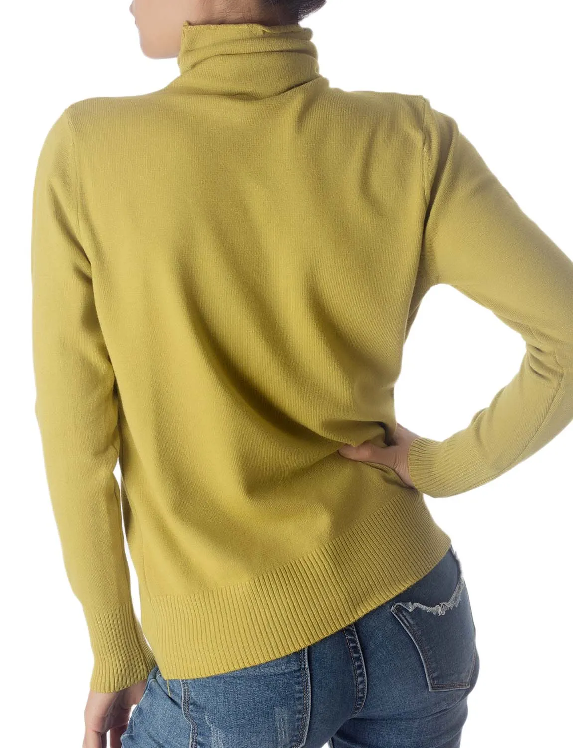 iB-iP Women's Solid Color Lightweight Turtle Neck Tops Fashion Pullover Sweater