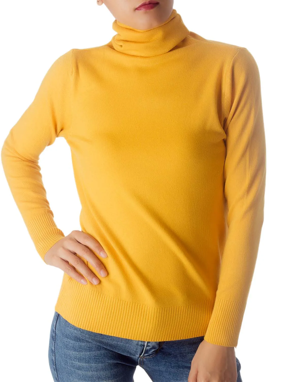 iB-iP Women's Solid Color Lightweight Turtle Neck Tops Fashion Pullover Sweater