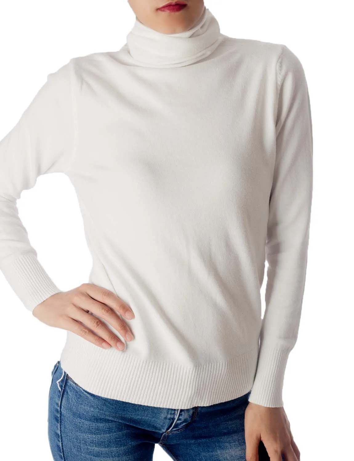 iB-iP Women's Solid Color Lightweight Turtle Neck Tops Fashion Pullover Sweater