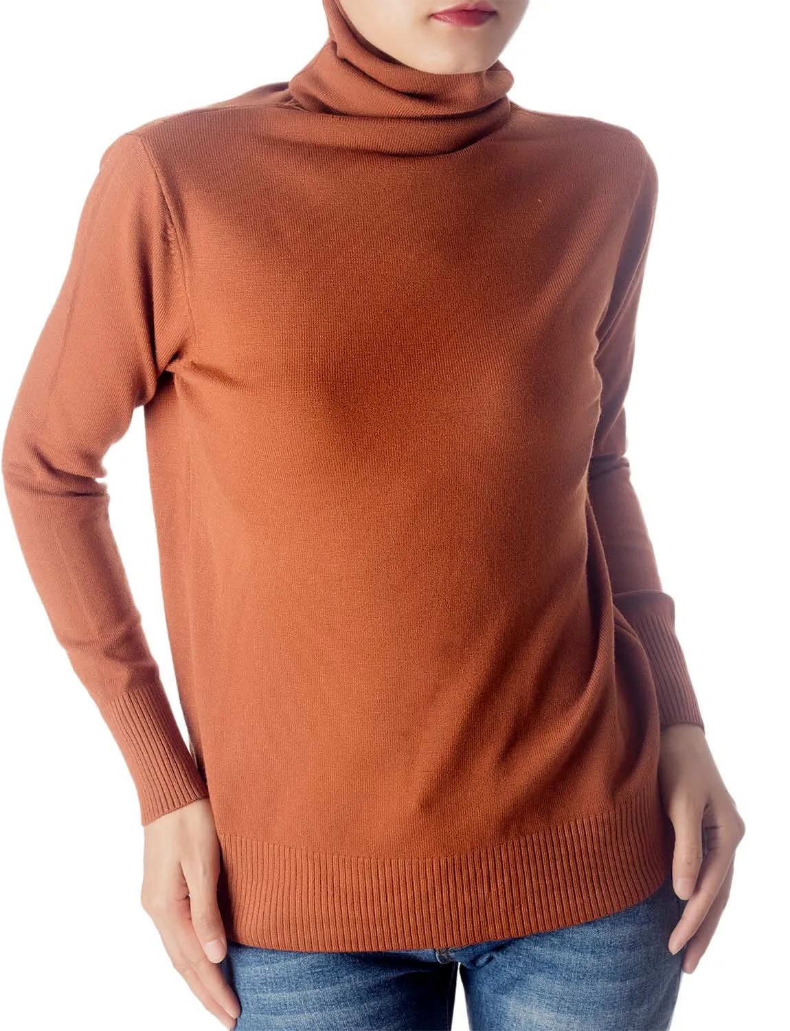 iB-iP Women's Solid Color Lightweight Turtle Neck Tops Fashion Pullover Sweater