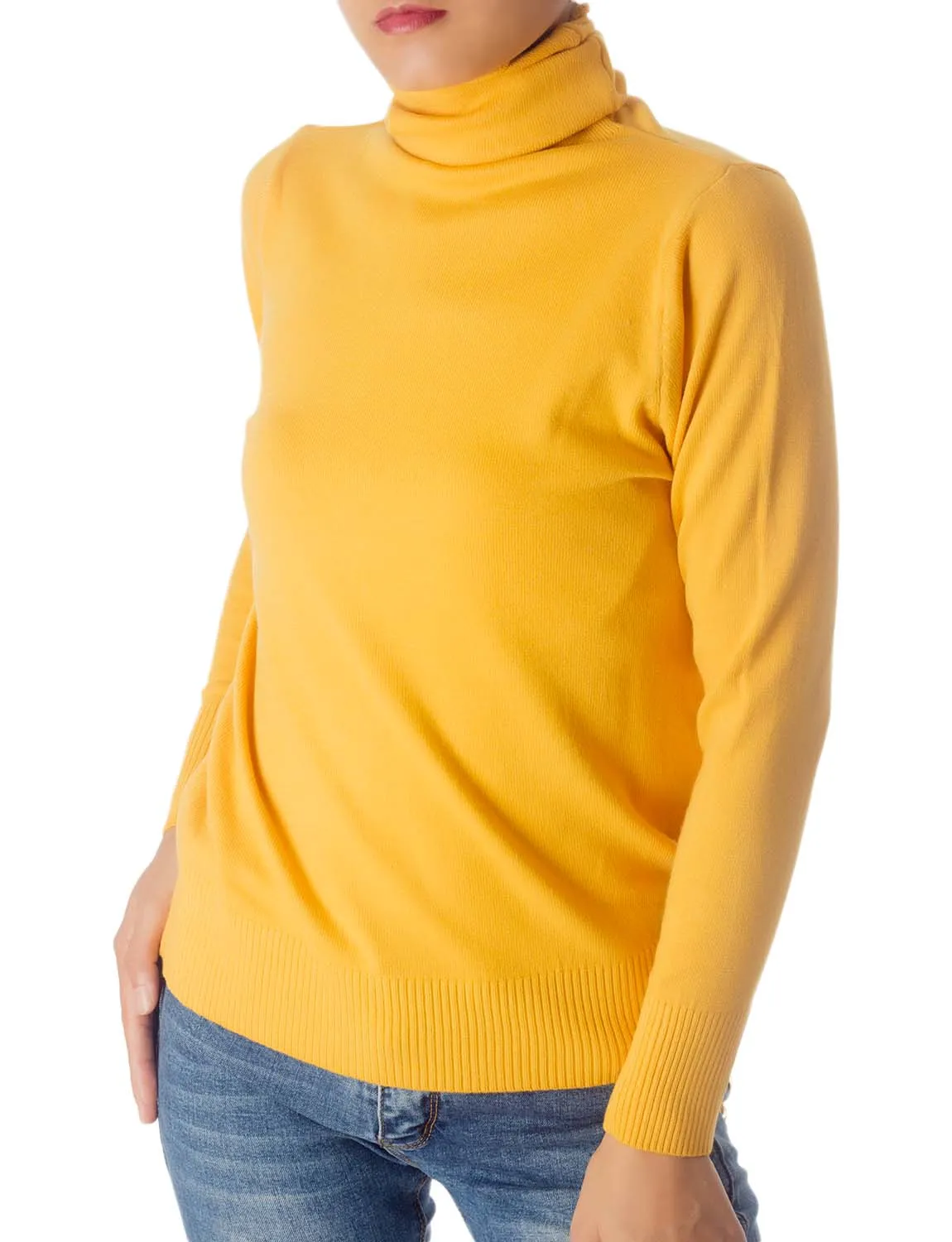 iB-iP Women's Solid Color Lightweight Turtle Neck Tops Fashion Pullover Sweater