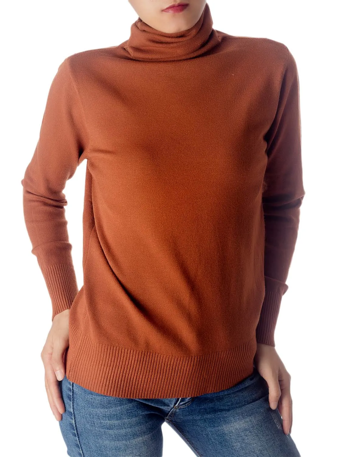 iB-iP Women's Solid Color Lightweight Turtle Neck Tops Fashion Pullover Sweater