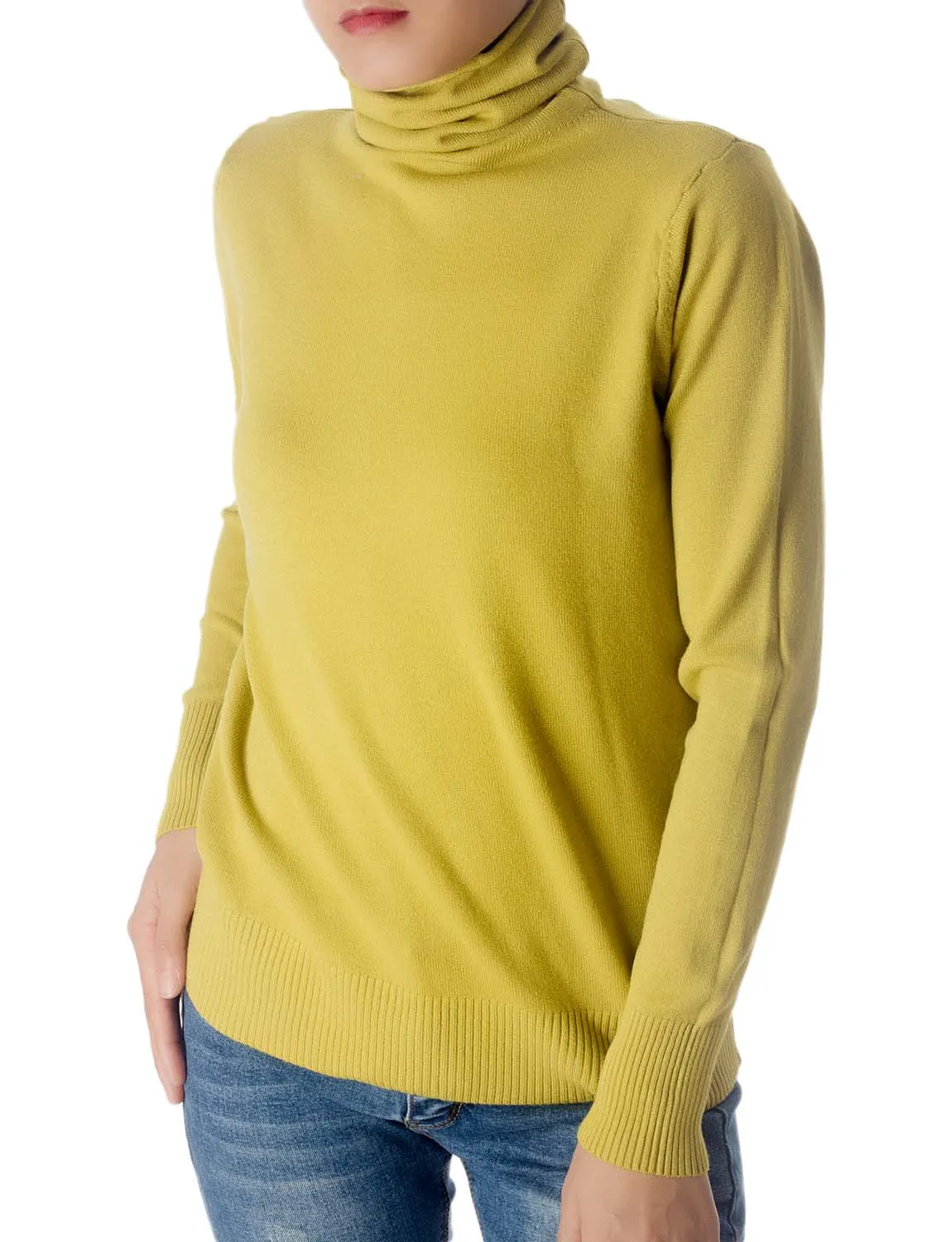 iB-iP Women's Solid Color Lightweight Turtle Neck Tops Fashion Pullover Sweater