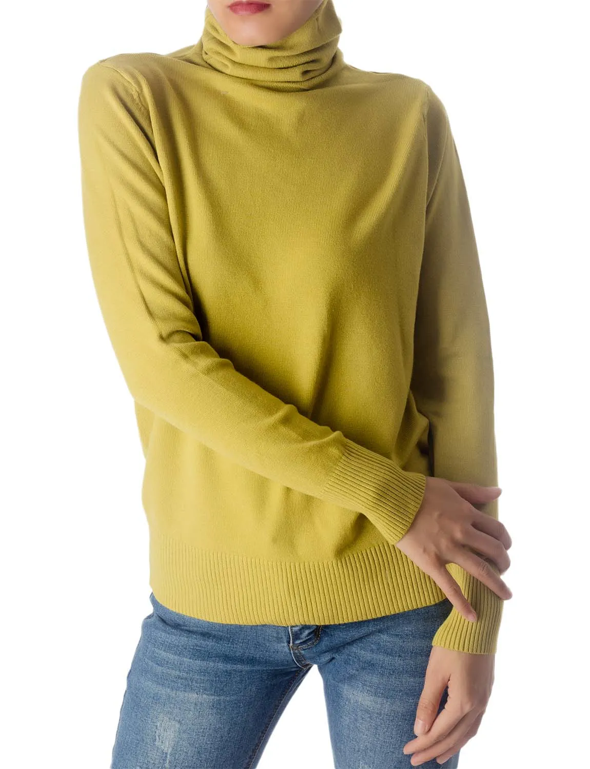 iB-iP Women's Solid Color Lightweight Turtle Neck Tops Fashion Pullover Sweater