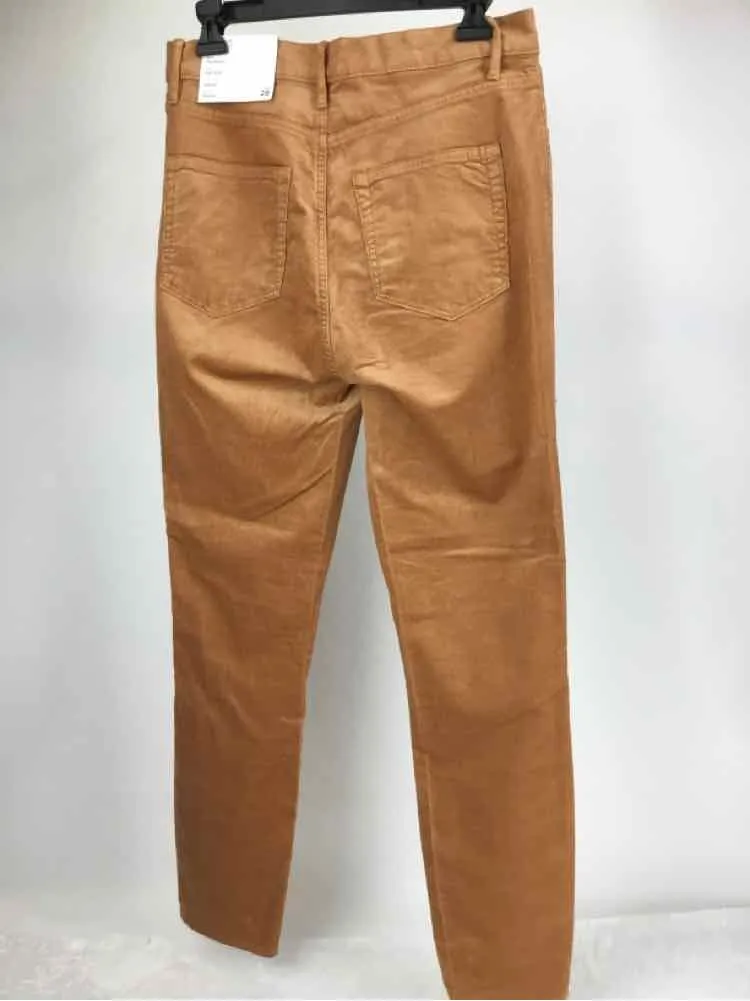 Loft Women Size 28 Clay NWT corduroy Pants