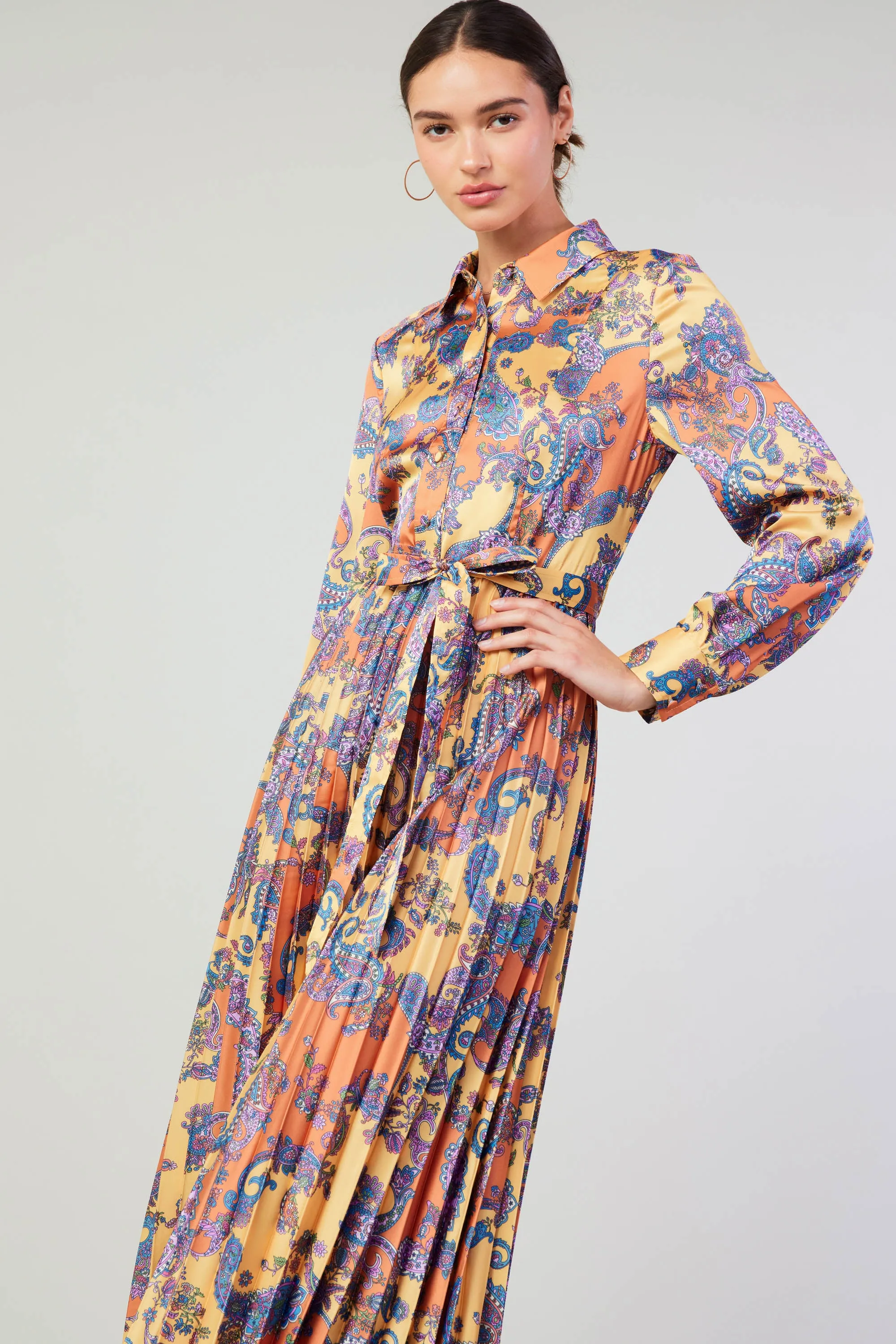 Paisley Pleated Maxi Dress