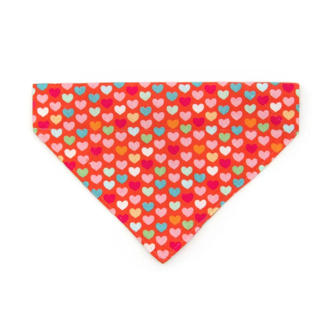 Pet Bandana - "Modern Love" - Candy Hearts on Red Bandana for Cat   Small Dog / Valentine's Day / Slide-on Bandana / Over-the-Collar (One Size)