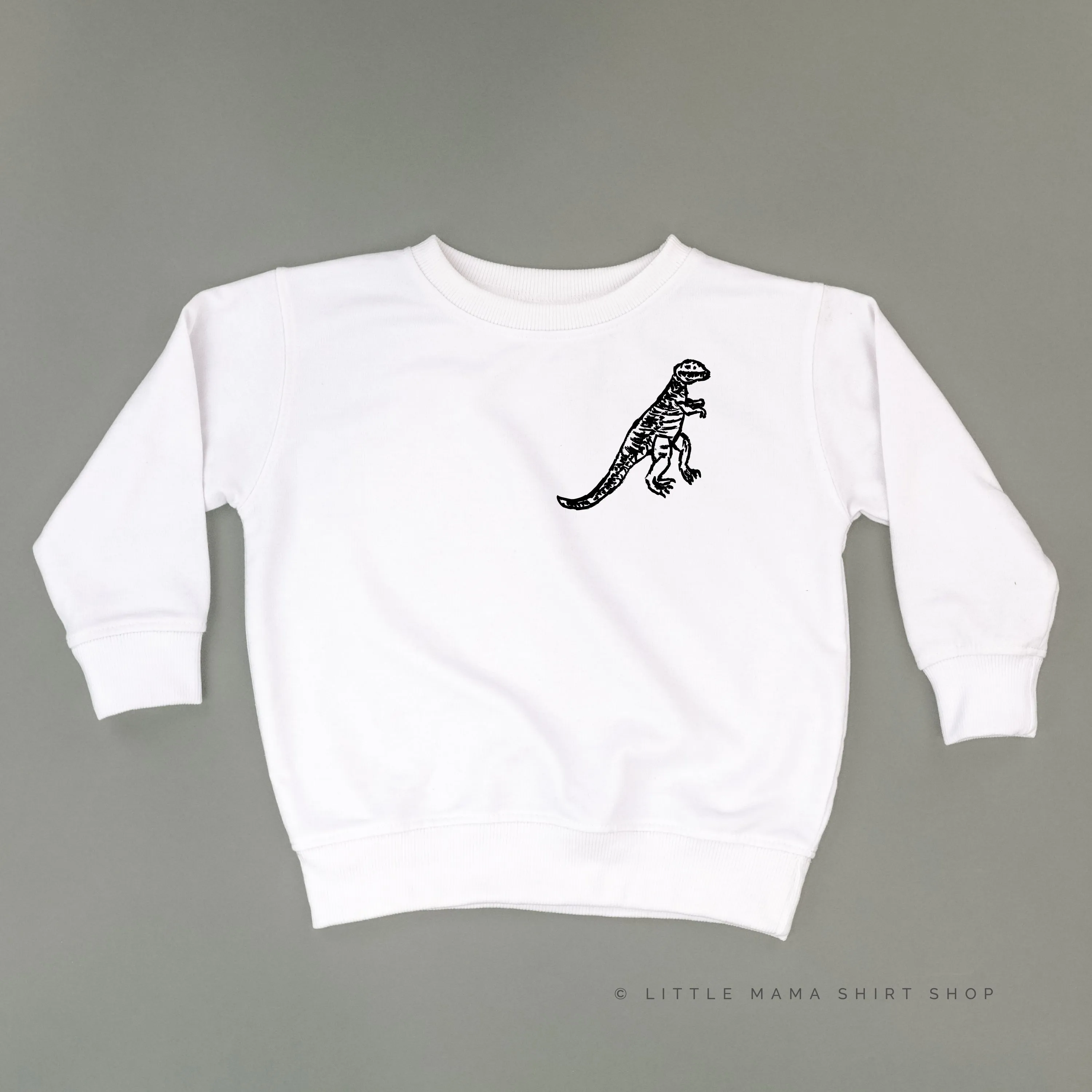 Pocket T-Rex - Hand Drawn - Child Sweater