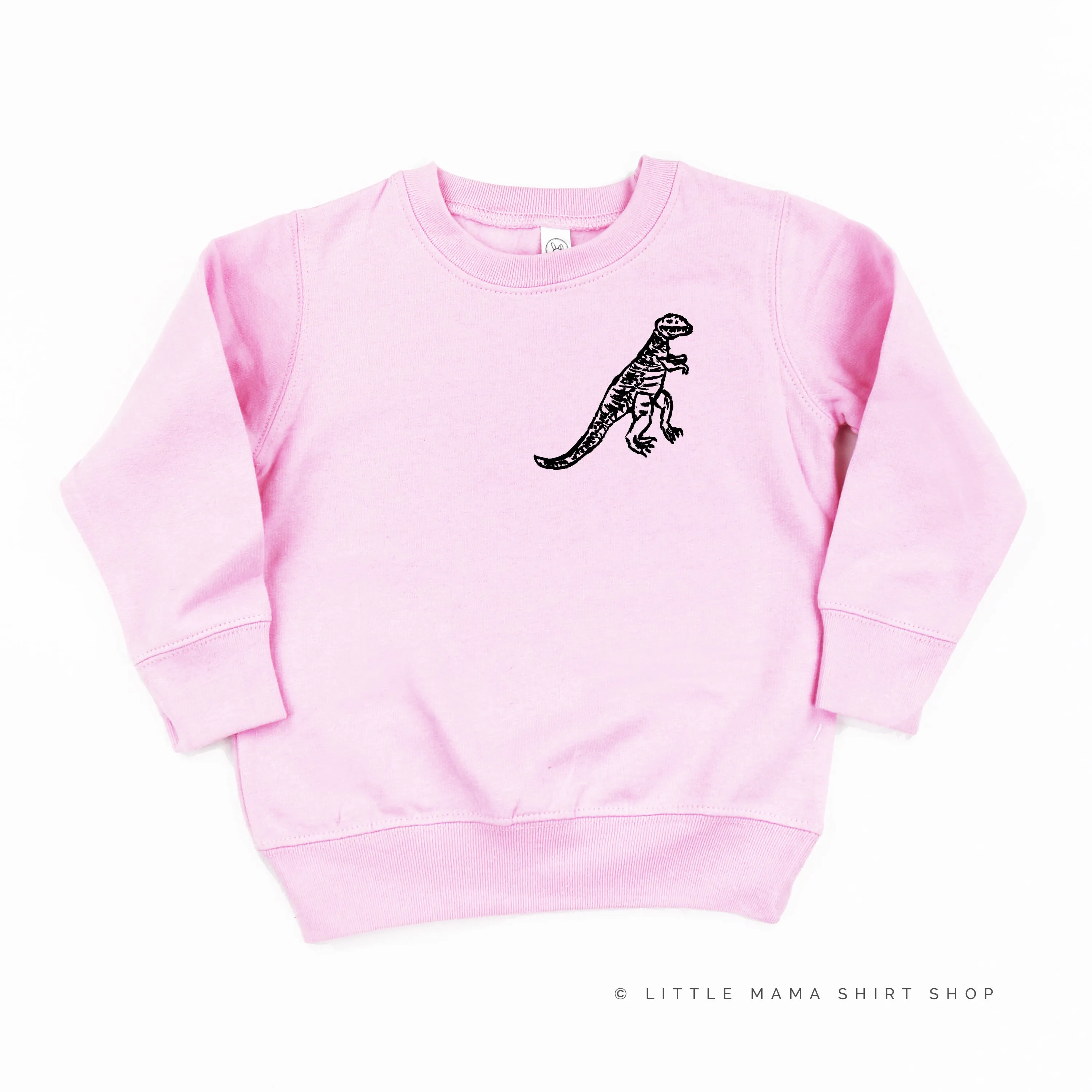 Pocket T-Rex - Hand Drawn - Child Sweater