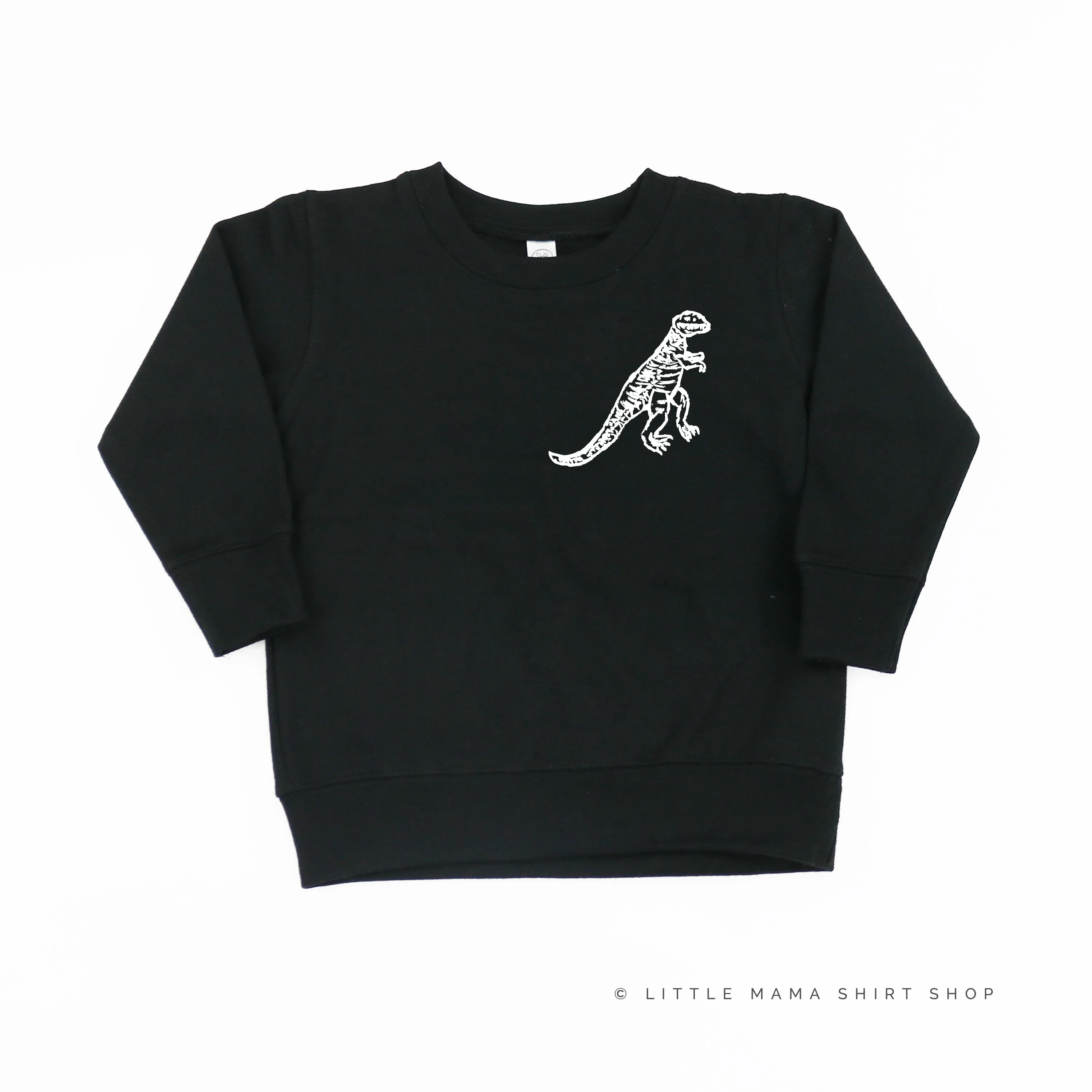 Pocket T-Rex - Hand Drawn - Child Sweater