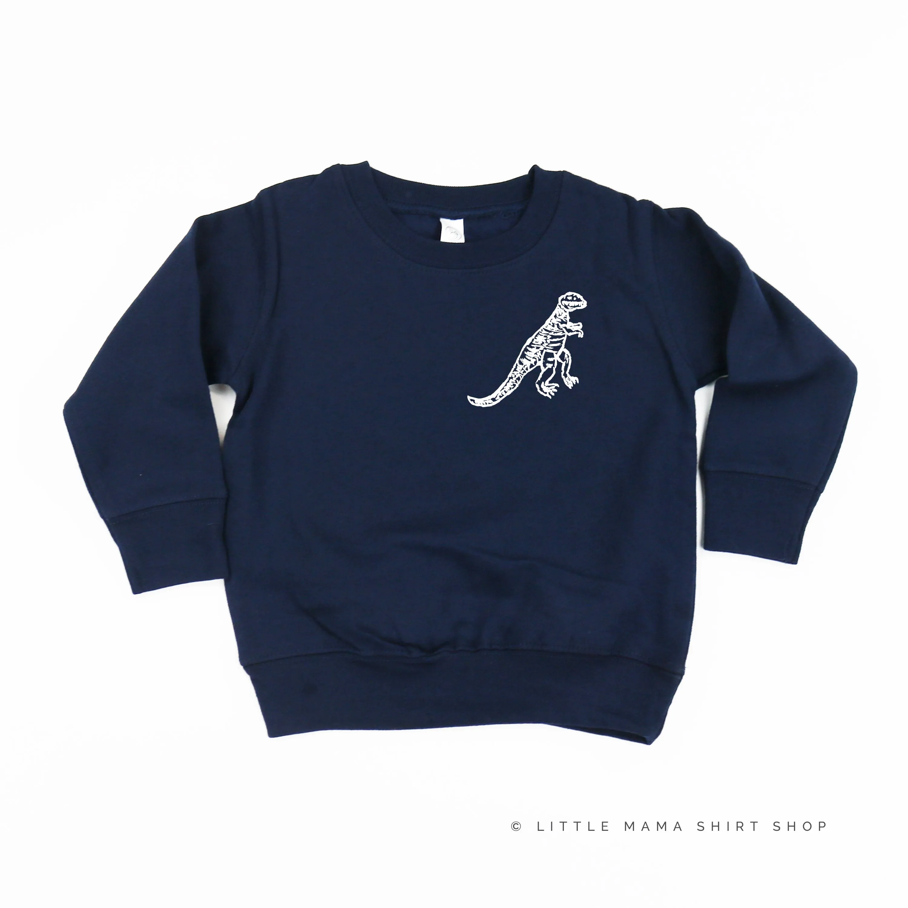 Pocket T-Rex - Hand Drawn - Child Sweater