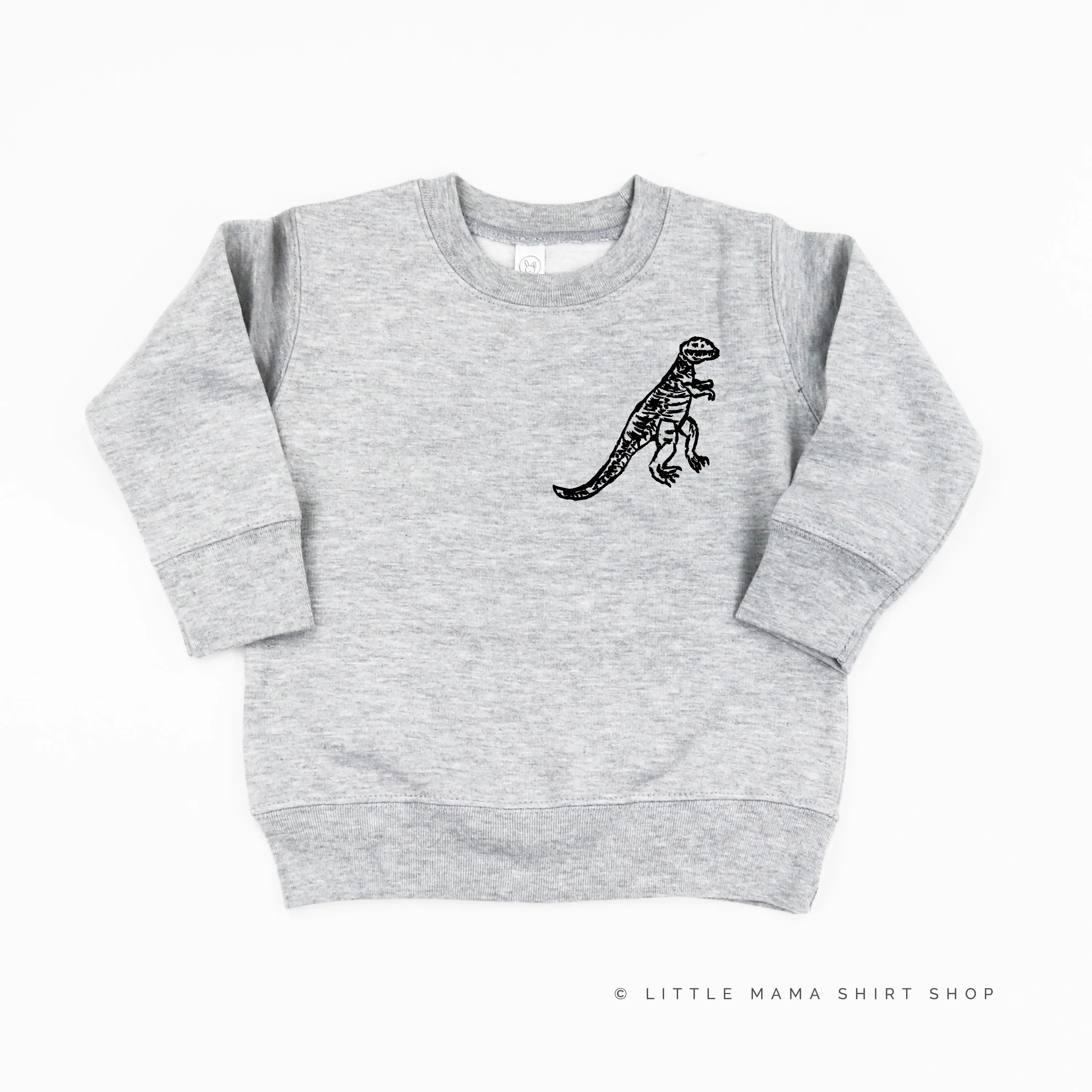 Pocket T-Rex - Hand Drawn - Child Sweater