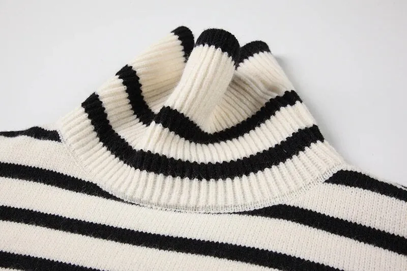 Pre Order:  Classic Turtleneck Striped Sweater