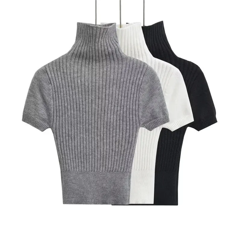 Pre Order:  Turtleneck Short Sleeves Knit Top