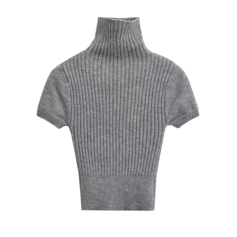 Pre Order:  Turtleneck Short Sleeves Knit Top