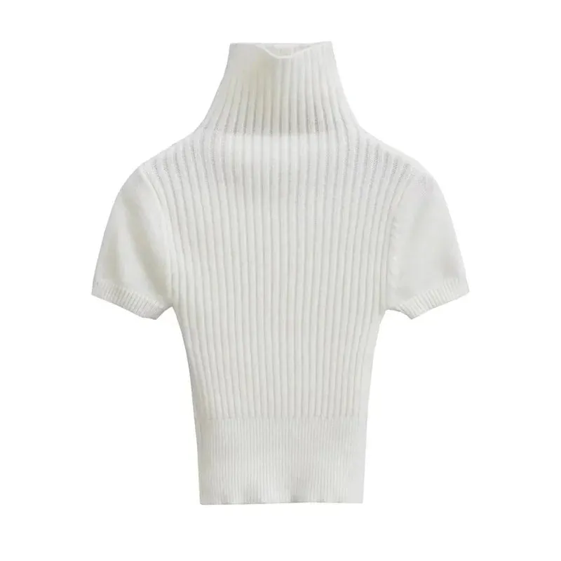 Pre Order:  Turtleneck Short Sleeves Knit Top