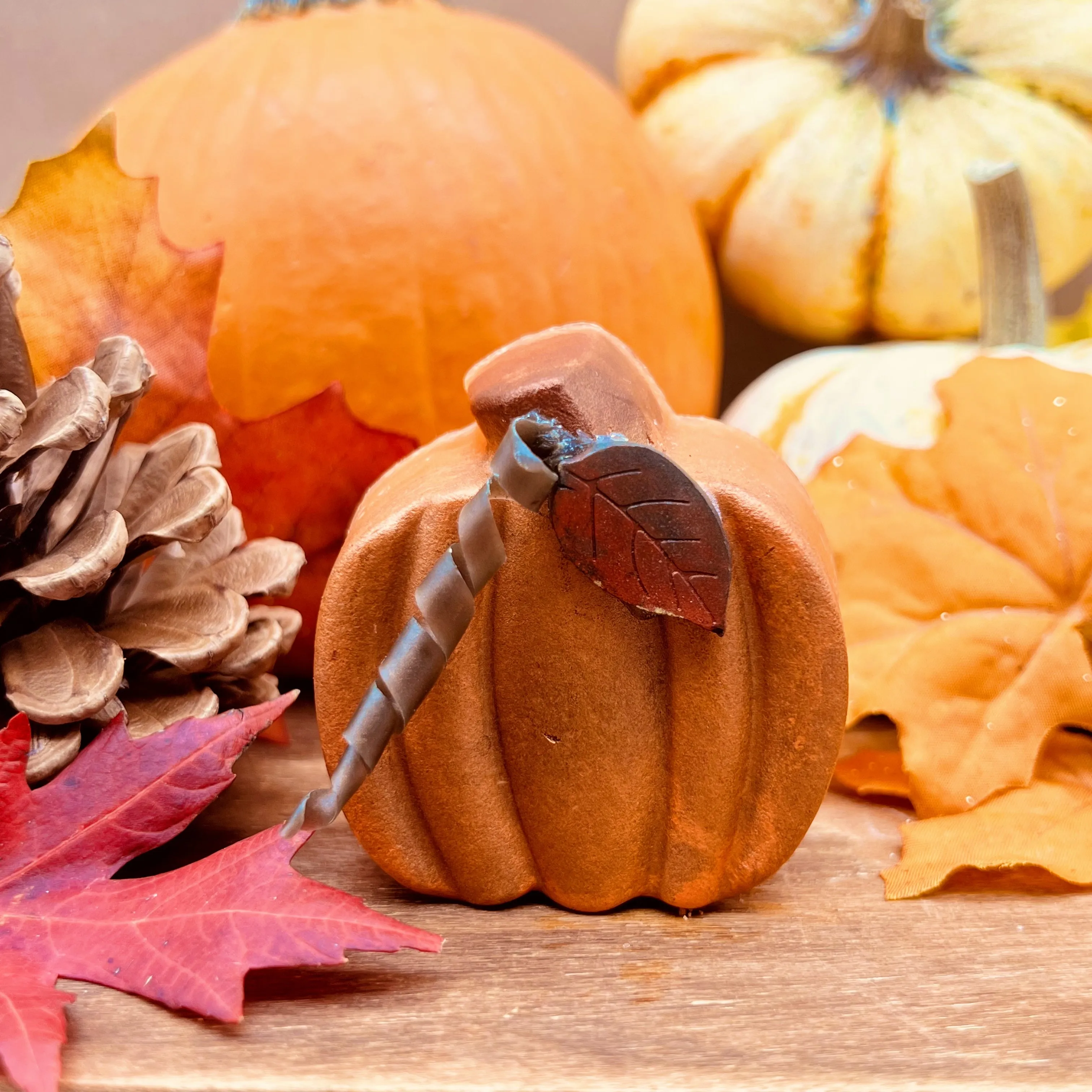 PUMPKIN SPICE (& EVERYTHING NICE) Exfoliating Bar Soap