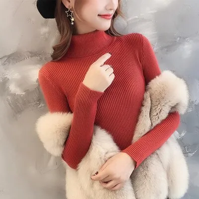 Women Turtleneck pull Sweater