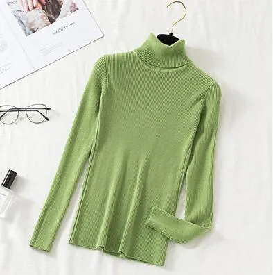 Women Turtleneck pull Sweater