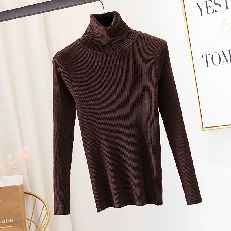 Women Turtleneck pull Sweater