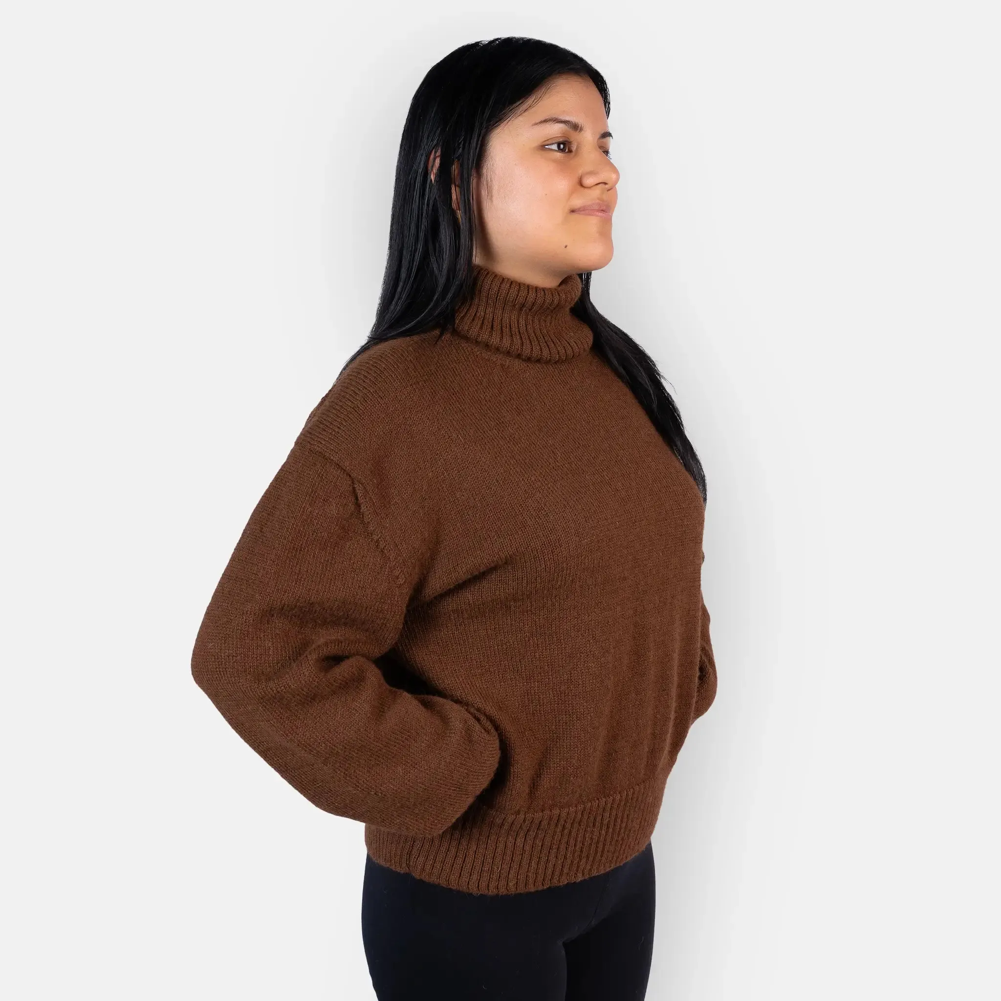 Women's Alpaca Wool Turtleneck Sweater